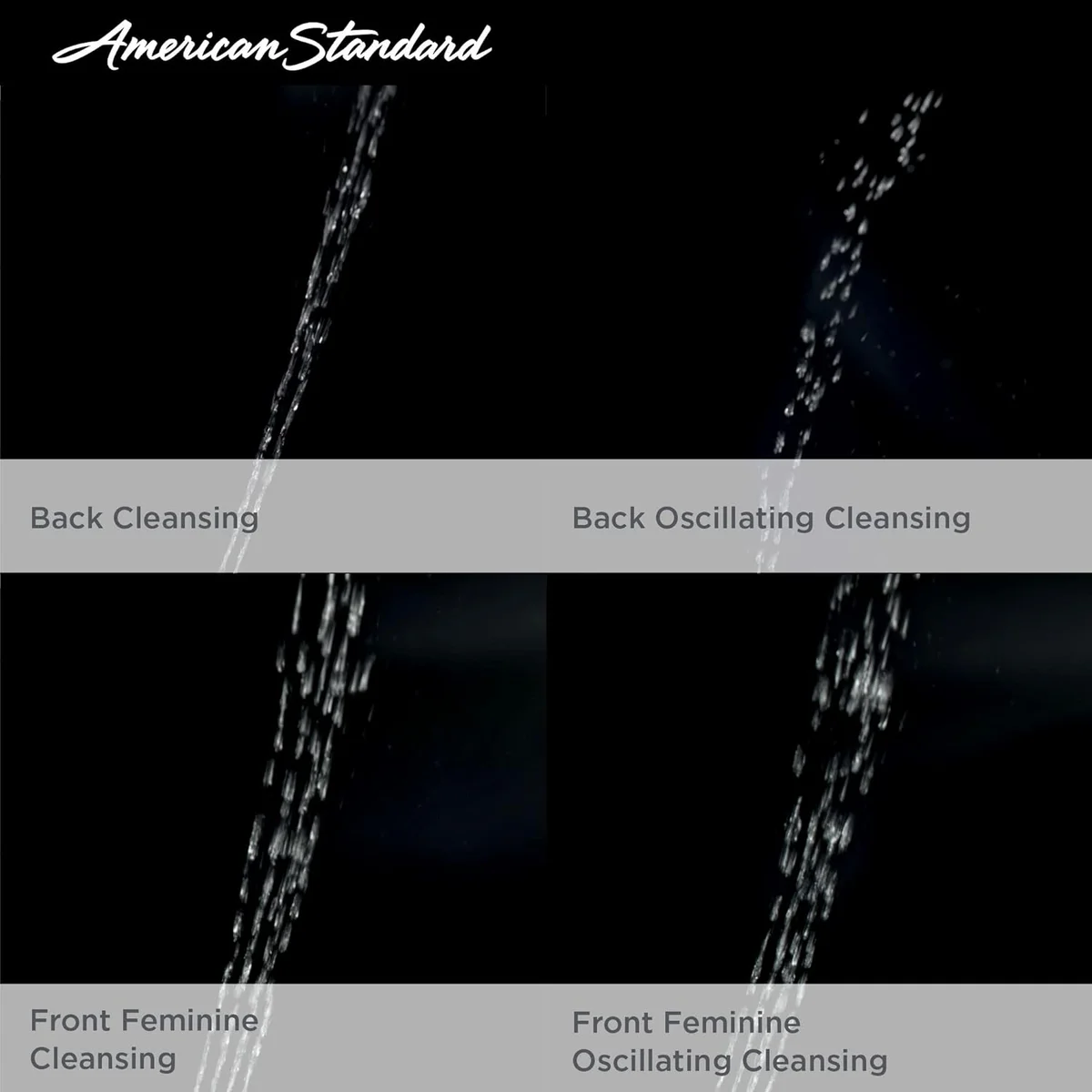 The American Standard 2.0 — detail view.
