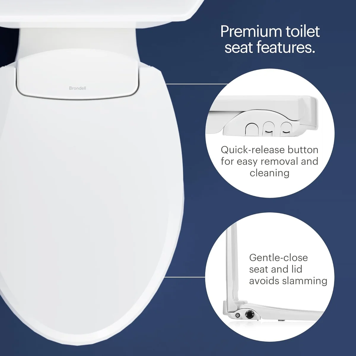 The Brondell EcoSeat textured chrome control dial and dual nozzles.